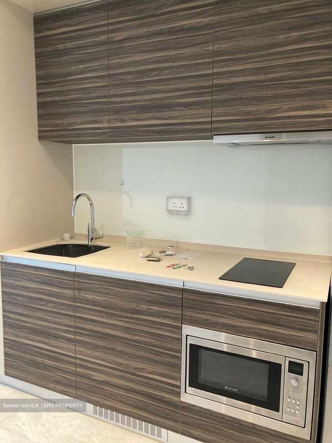 Commonwealth Towers (D3), Condominium #498880911